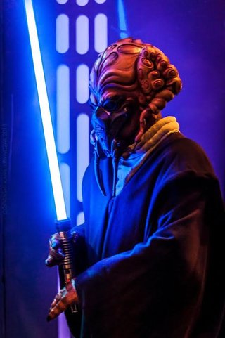 Illustration for article titled The Force Is Strong With These Cosplayers